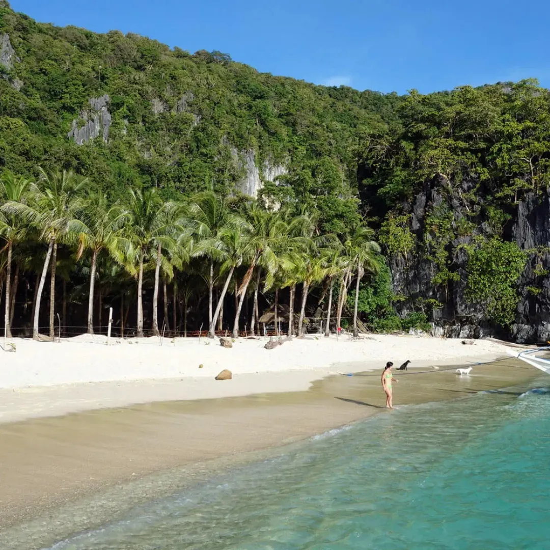 Palm trees and white sand at Seven Commando Beach