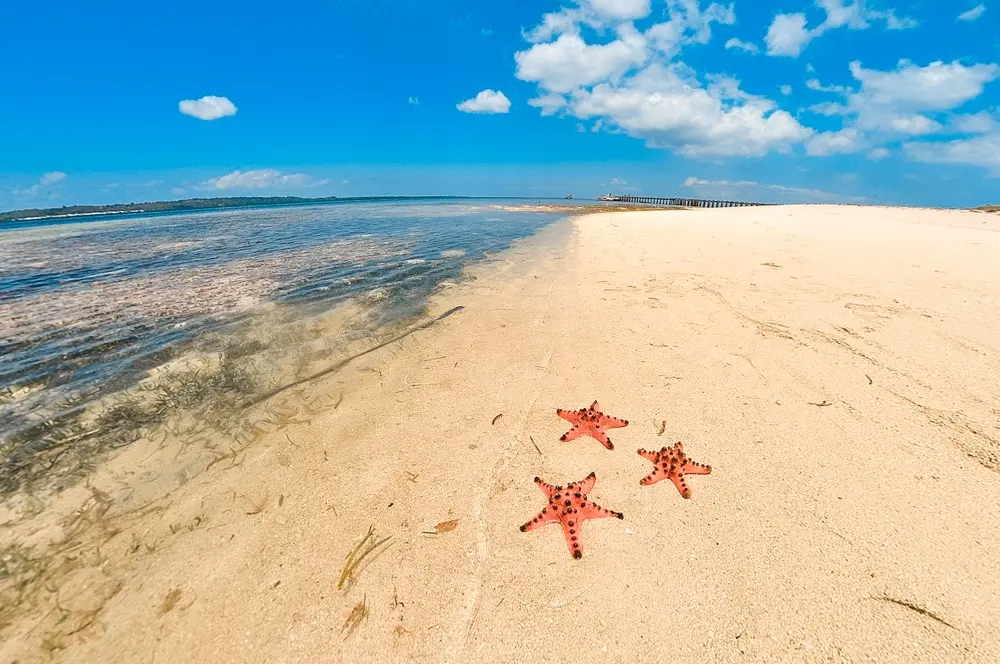 Starfish Island